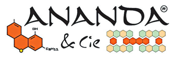 Ananda Ananda