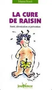 64-le-13-septembre-biocoop-saxecurederaisin.webp